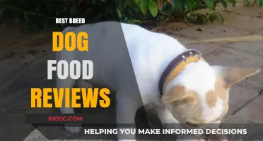 Top-Rated Dog Food Brands: Expert Reviews for Every Breed's Nutritional Needs