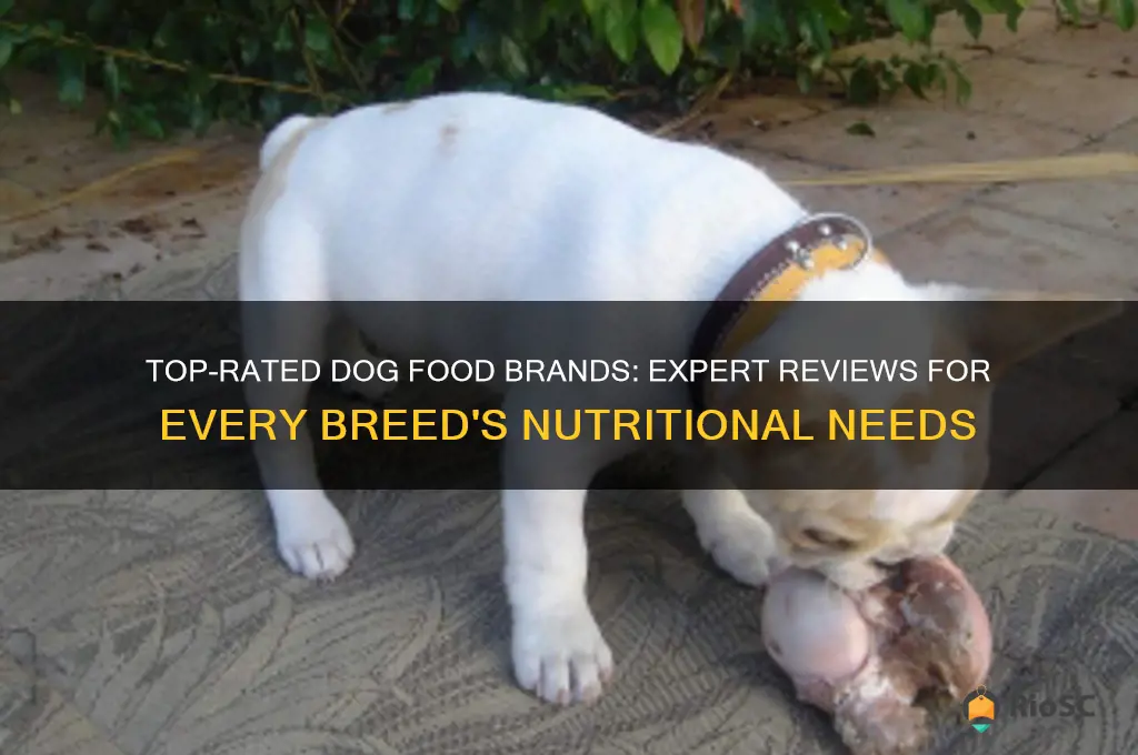 best breed dog food reviews