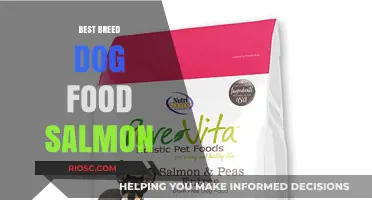 Top Salmon Dog Food Brands: A Comprehensive Guide for Pet Owners
