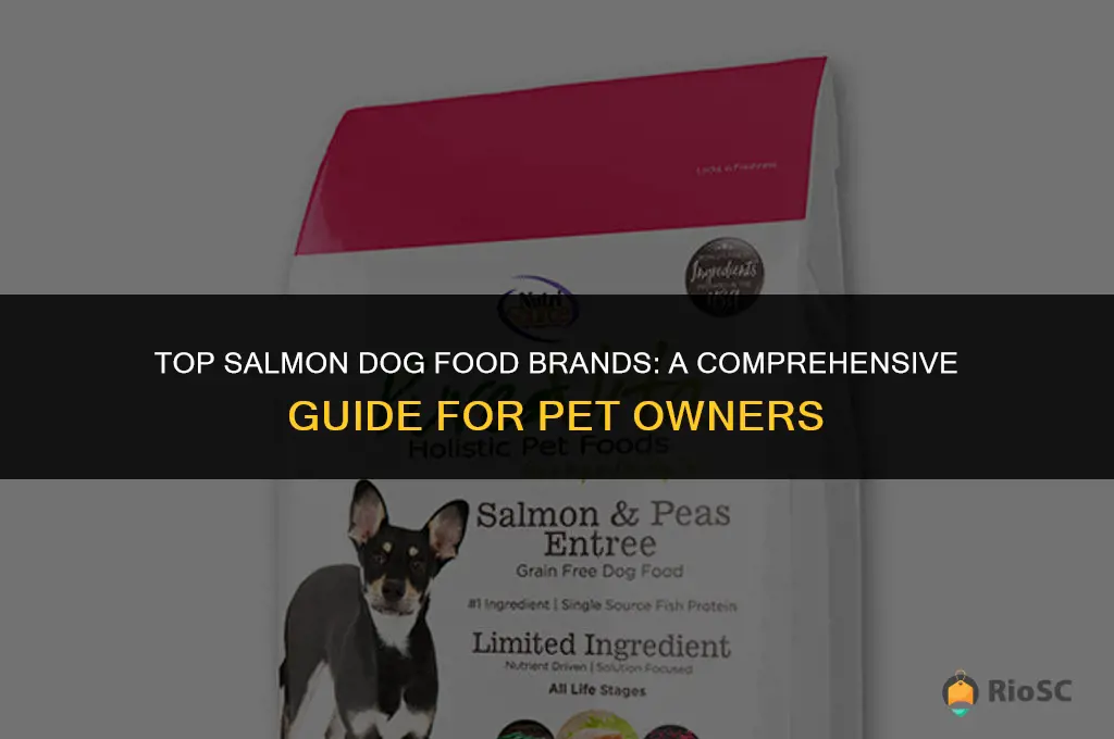 best breed dog food salmon