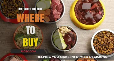 Top Picks for Breed-Specific Dog Food: Where to Find the Best Options for Your Furry Friend