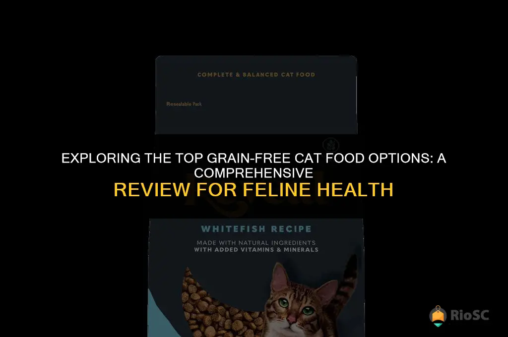 best breed grain free cat food review