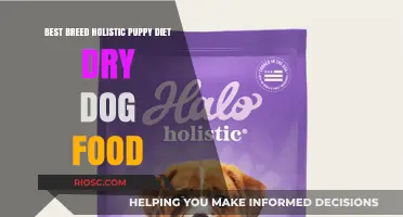 Holistic Puppy Diet: Choosing the Best Breed-Specific Dry Dog Food for Your Furry Friend