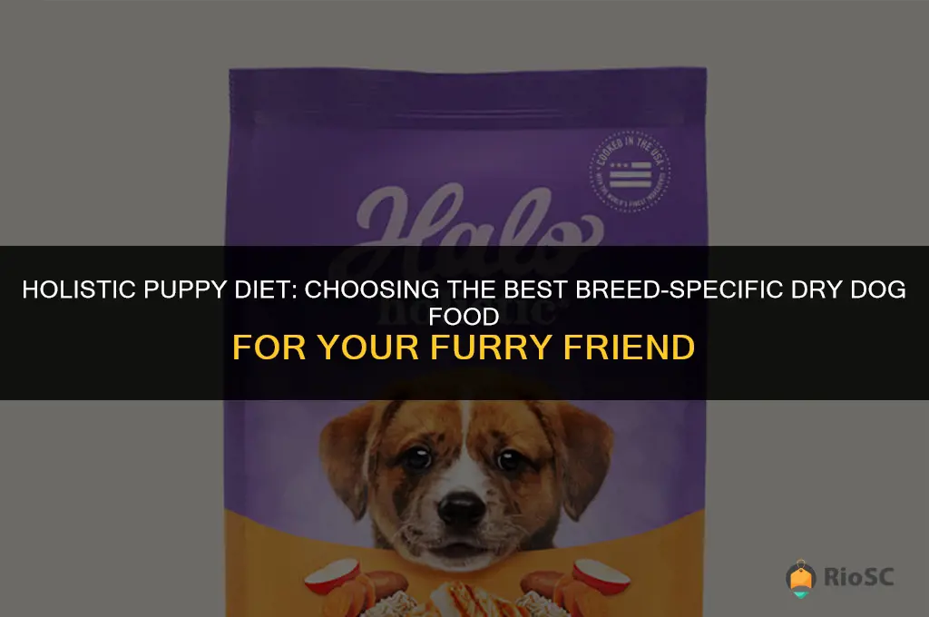 best breed holistic puppy diet dry dog food