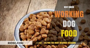 Top-Rated Working Dog Foods: Fueling Your Active Companion for Peak Performance