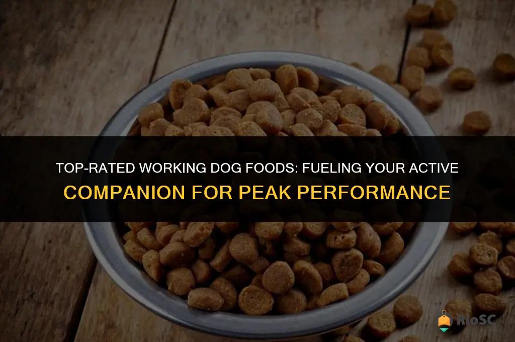 best breed working dog food
