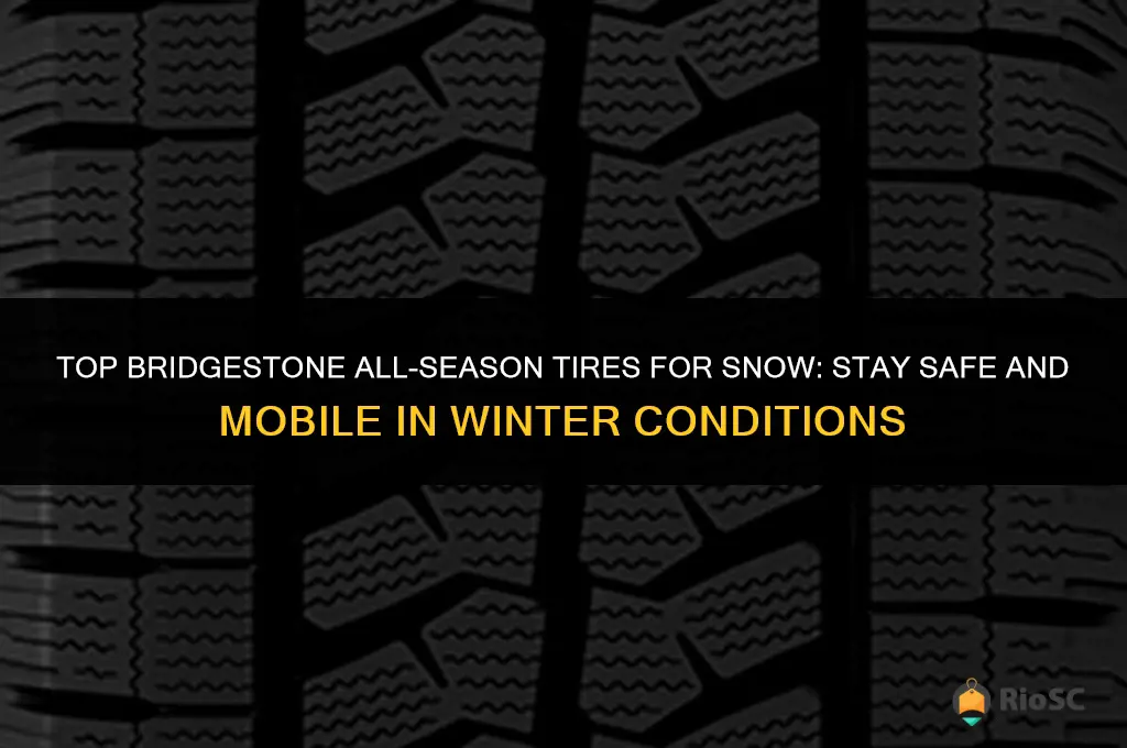 best bridgestone all season tires for snow