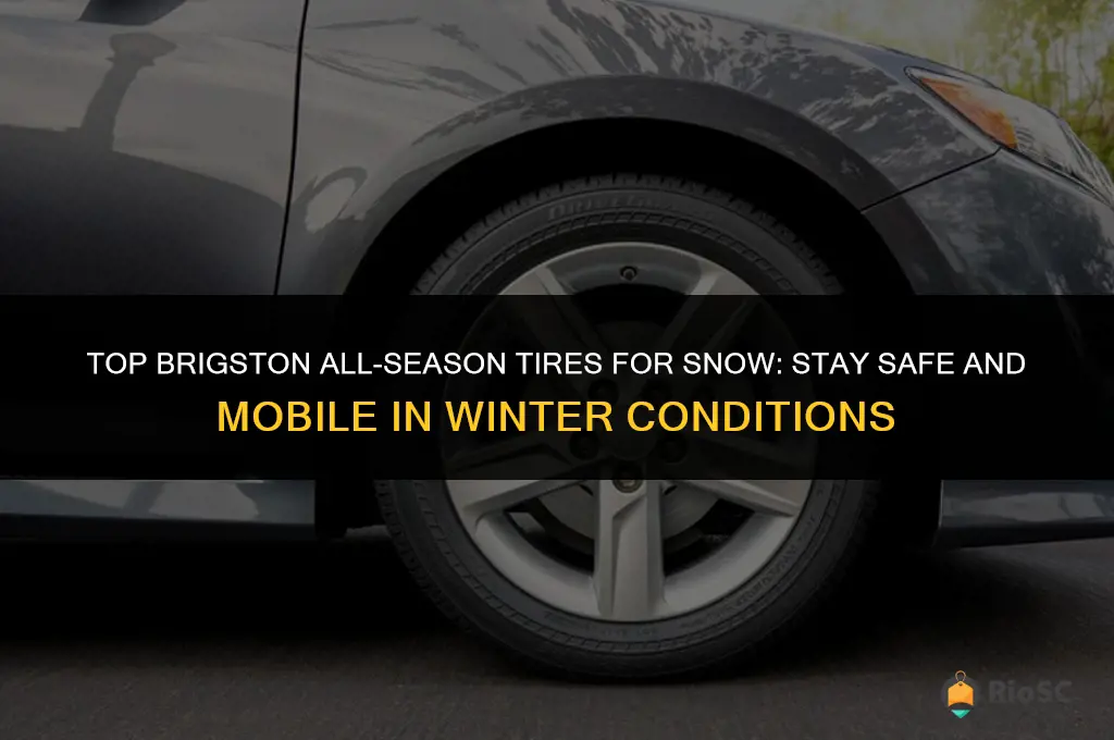 best brigston tires allseason for snow
