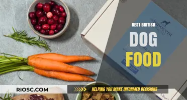 Top-Rated British Dog Food: A Comprehensive Guide to Nutritious and Delicious Options for Your Furry Friend