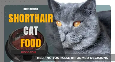 Top-Rated Nutrition for Your British Shorthair: A Comprehensive Guide to the Best Cat Food Options