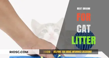Top Broom Picks for Effortless Cat Litter Cleanup