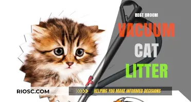 Top Broom Vacuum Options for Effortless Cat Litter Cleanup