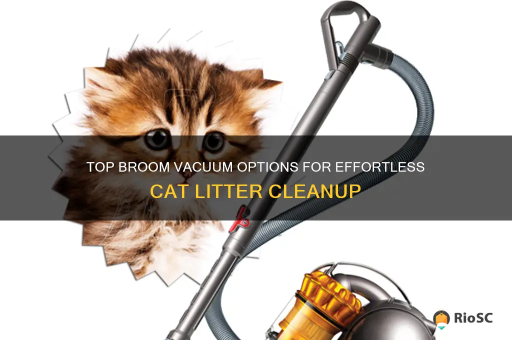 best broom vacuum cat litter