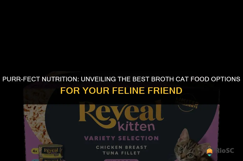 best broth cat food