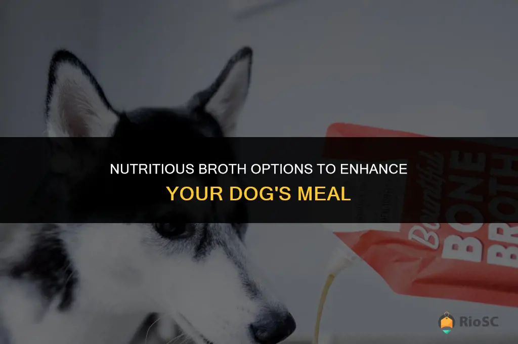 best broth for dog food