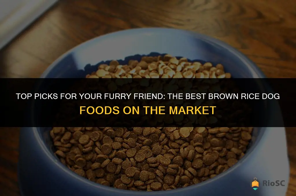 best brow rice dog food