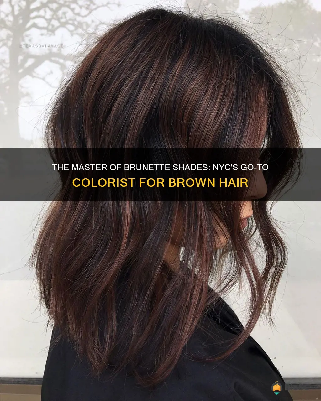 best brown hair colorist in nyc