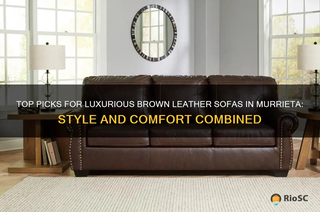 best brown leather sofas murrieta