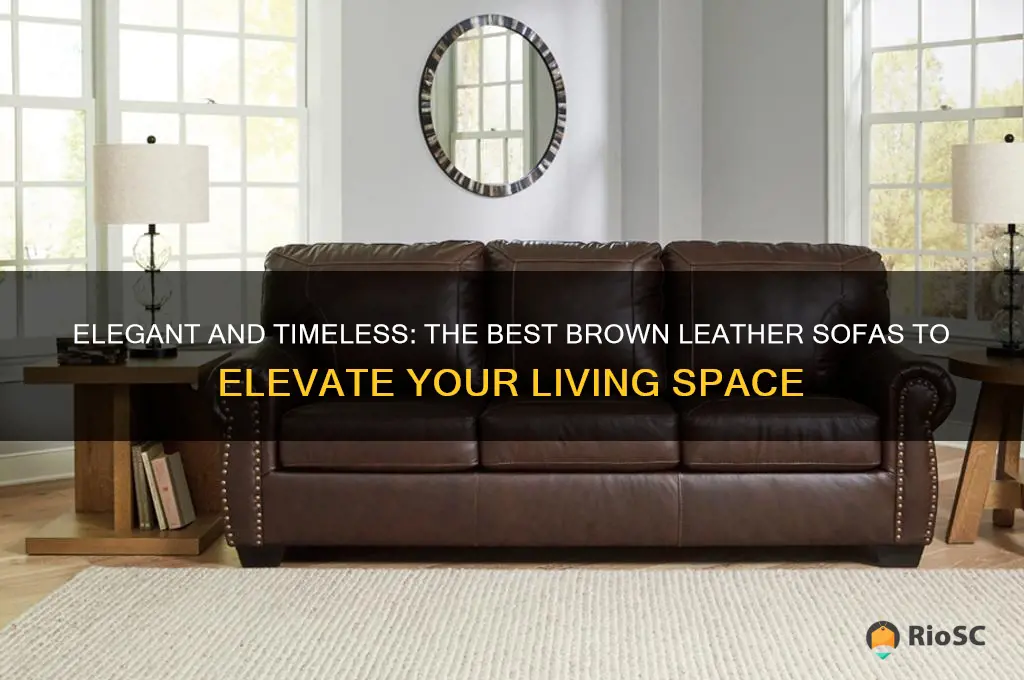 best brown leather sofas