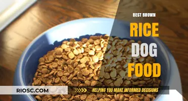 Top-Rated Brown Rice Dog Food: Nourishing Your Pet with Whole Grains