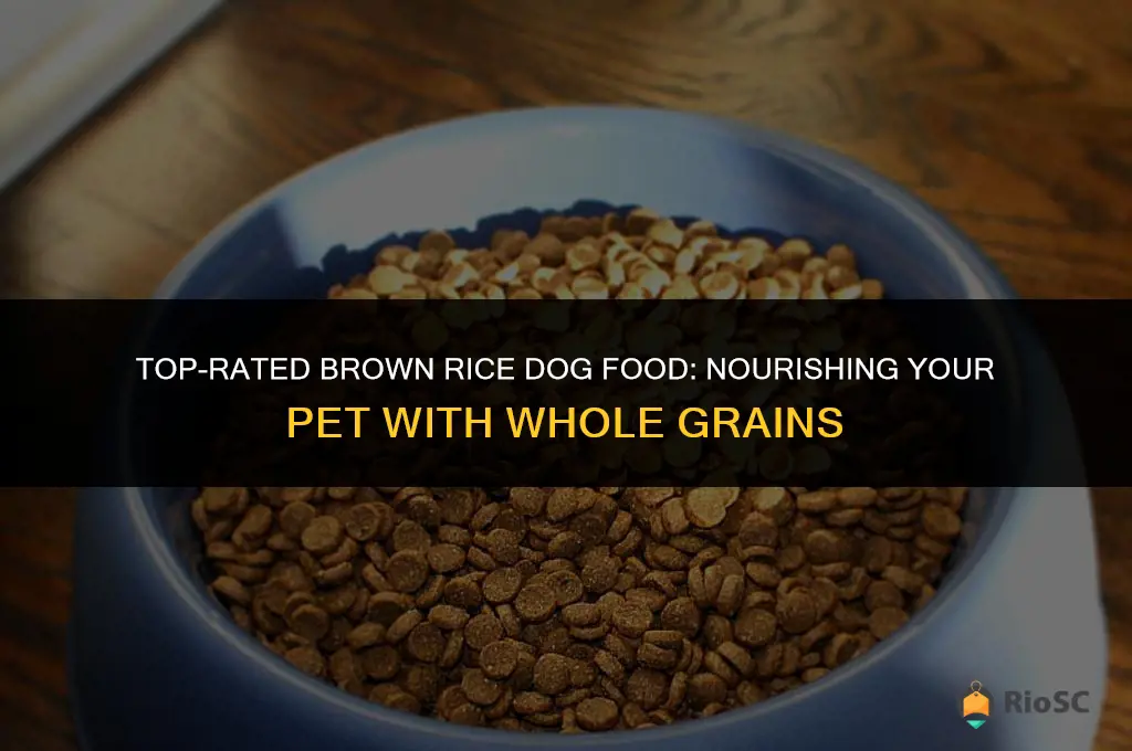 best brown rice dog food
