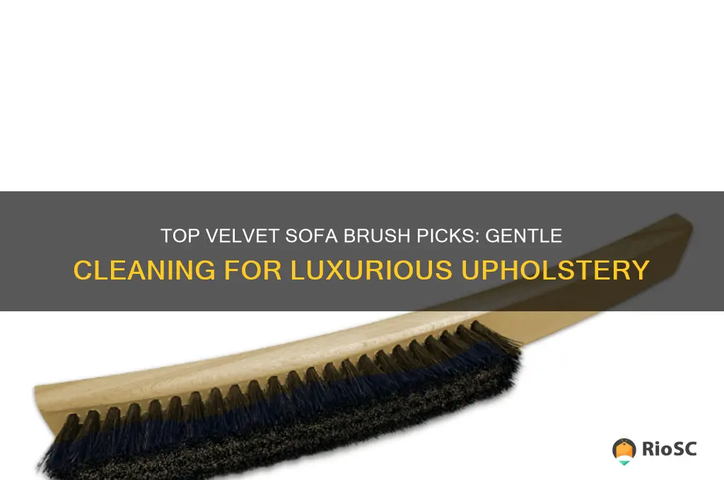best brush for velvet sofa