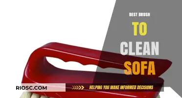 Ultimate Guide to Choosing the Best Brush for Cleaning Your Sofa