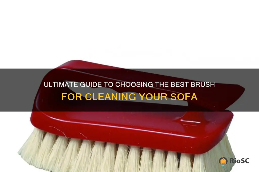 best brush to clean sofa