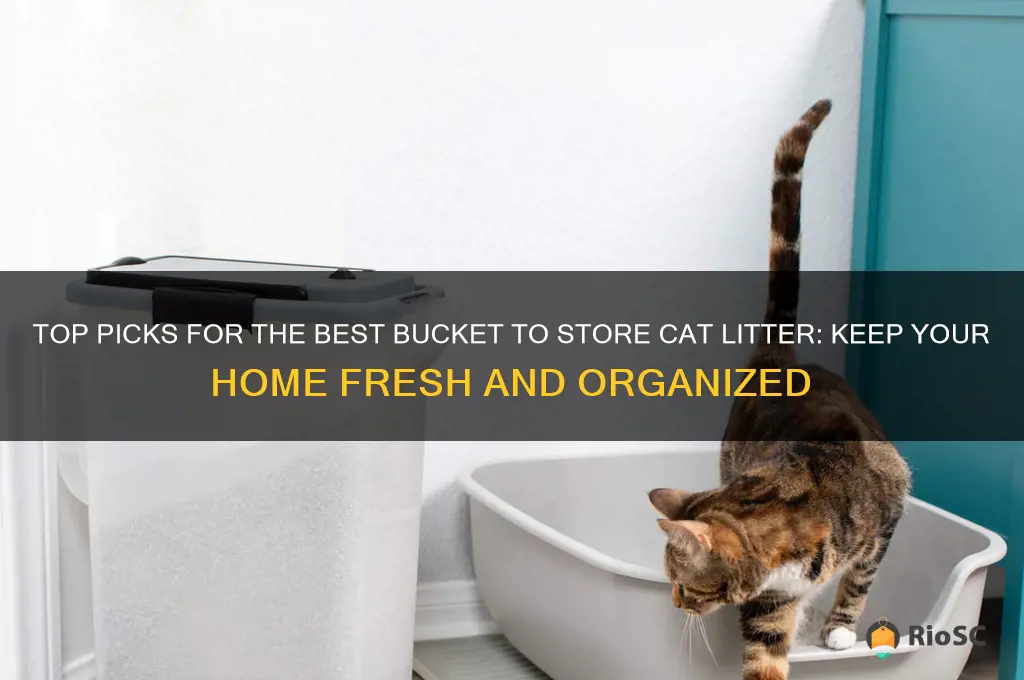 best bucket in which to store cat litter