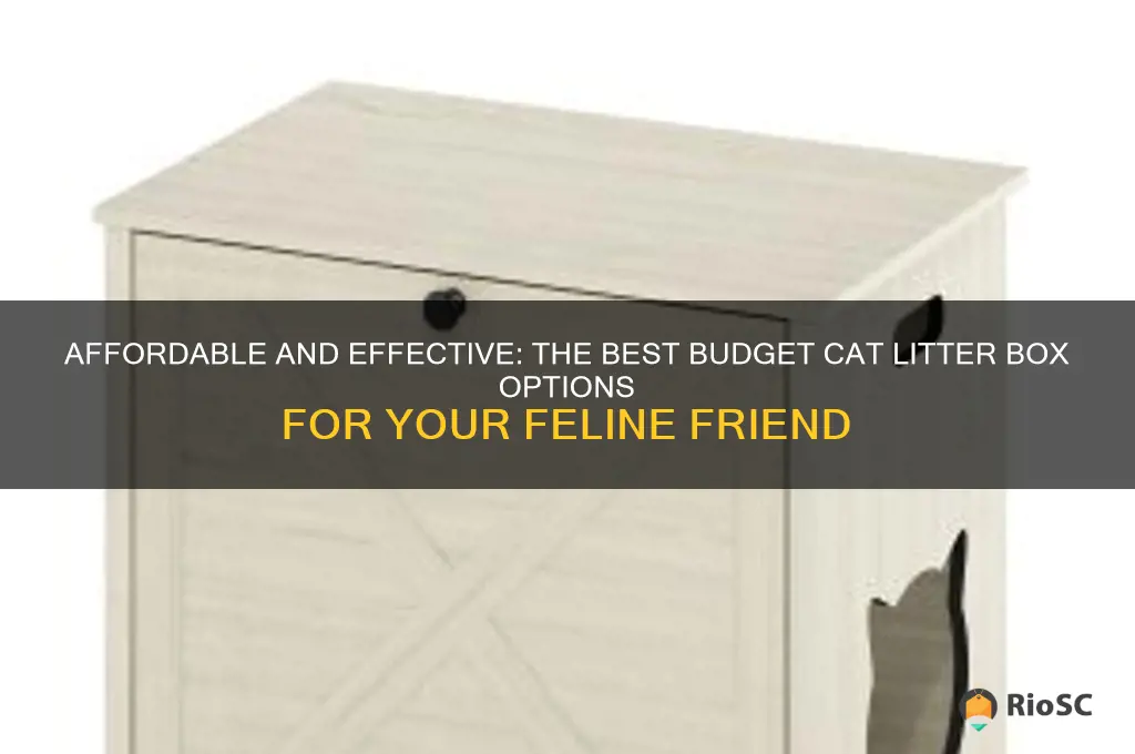 best budge cat litter box