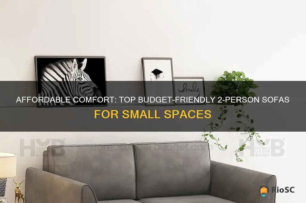 best budget 2 person sofa