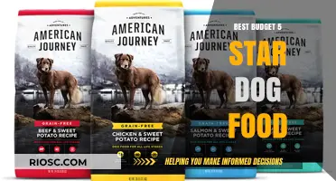 Top-Rated Affordable Dog Food: 5-Star Quality on a Budget