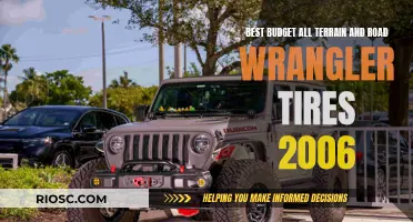 All-Terrain Adventure: Best Budget Wrangler Tires for 2006