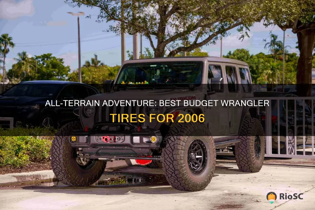 best budget all terrain and road wrangler tires 2006