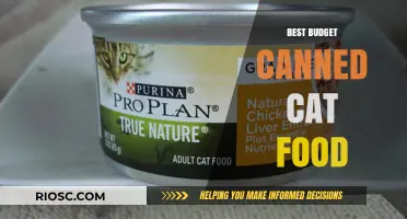 Purr-fectly Affordable: Top Budget-Friendly Canned Cat Food Options