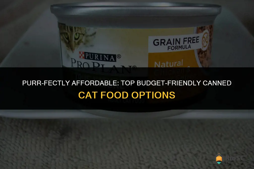 best budget canned cat food