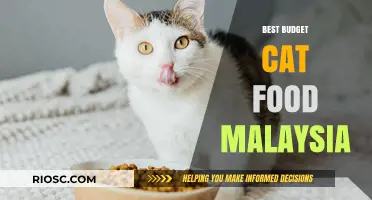 Affordable Feline Feast: Top Budget Cat Food Picks in Malaysia