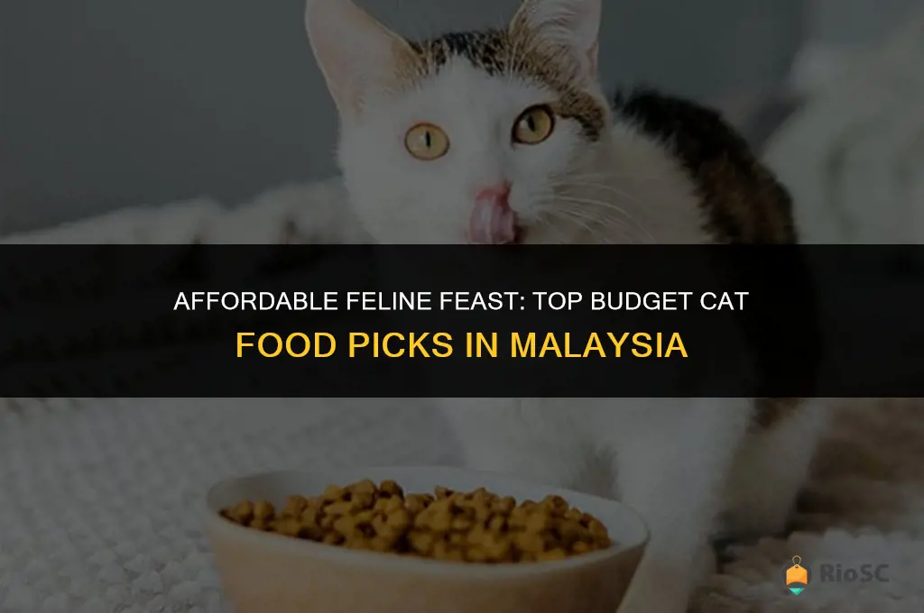 best budget cat food malaysia