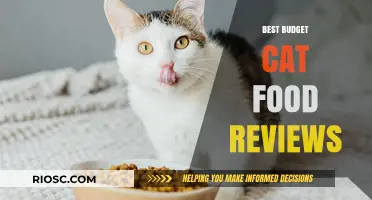 Purr-fectly Affordable: Top Budget Cat Food Picks for Your Feline Friend