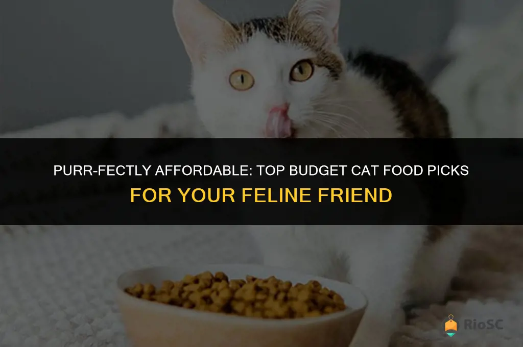 best budget cat food reviews