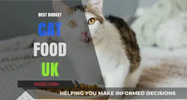 Top-Rated Budget Cat Food Options in the UK: Delicious and Nutritious Meals for Your Feline Friend