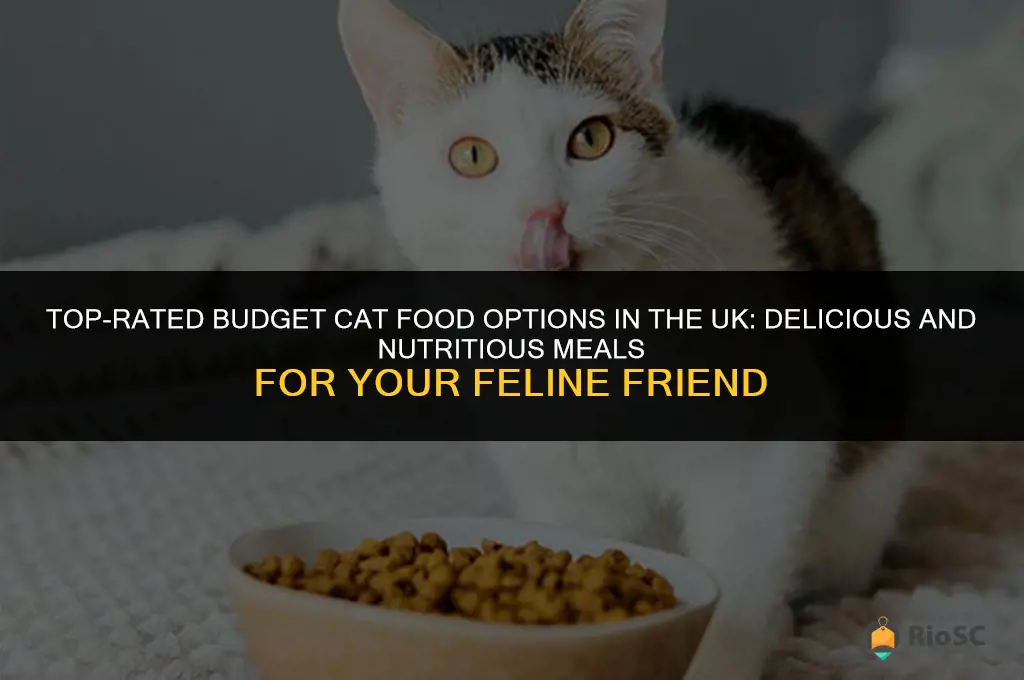 best budget cat food uk