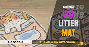 Affordable and Effective: Top Budget-Friendly Cat Litter Mats to Keep Your Home Clean