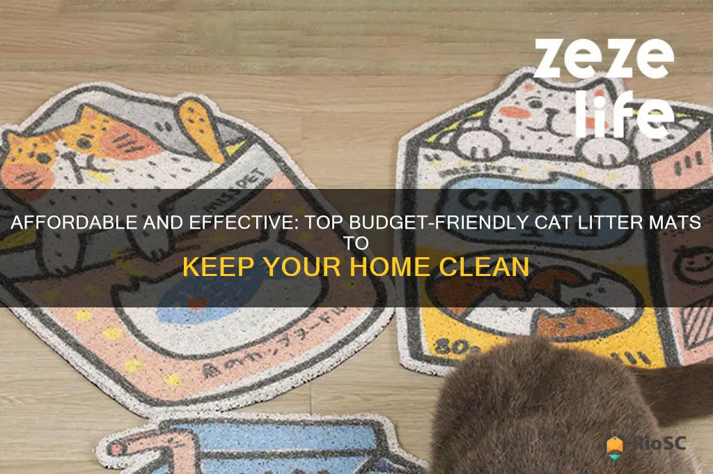 best budget cat litter mat