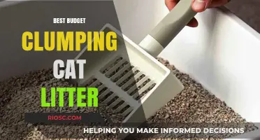 Affordable and Effective: Top Budget Clumping Cat Litter Options for Happy Cats and Clean Homes