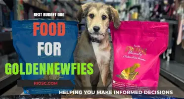 Affordable Nutrition for Your Golden Newfie: Top Budget Dog Food Picks