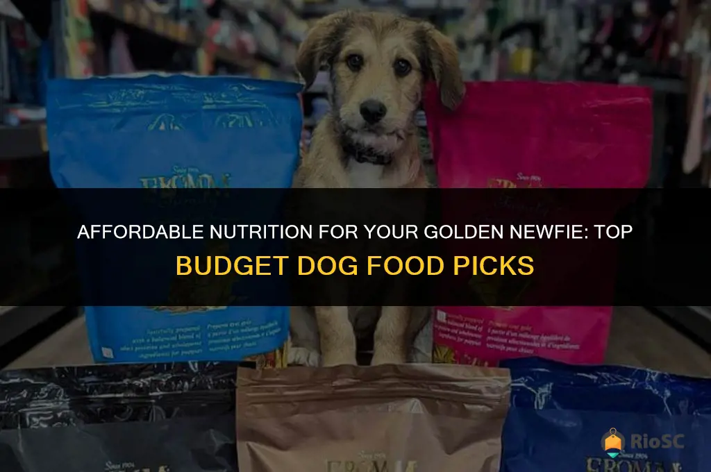 best budget dog food for goldennewfies