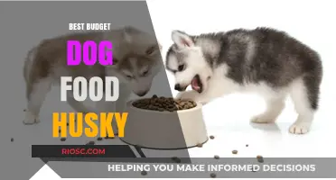 Nutritious and Affordable: Top Budget Dog Food Picks for Your Husky Companion