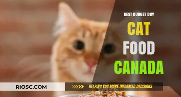 Top Affordable Dry Cat Food Options in Canada: A Comprehensive Guide for Budget-Conscious Pet Owners