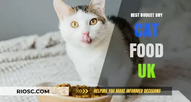 Top-Rated Budget Dry Cat Food Options in the UK: A Comprehensive Guide for Pet Owners